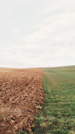 爆料黑料网截图4